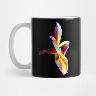 plumeria-flowers-frangipani-floral-awesome-bossom-shirtyshirto-32 Mug